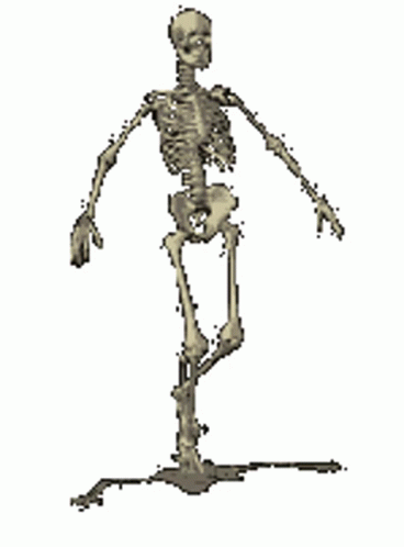 skeletonRun